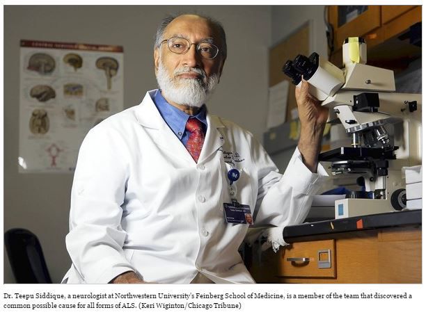 Cause of ALS is found, Northwestern team says